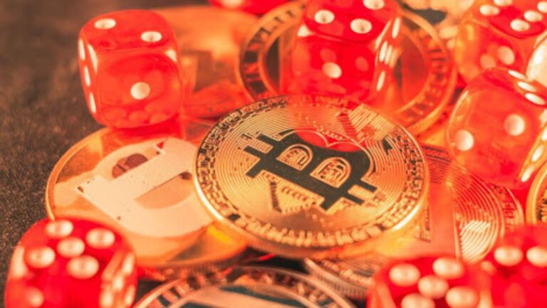 Crypto Casino Basics: What New Players Should Know